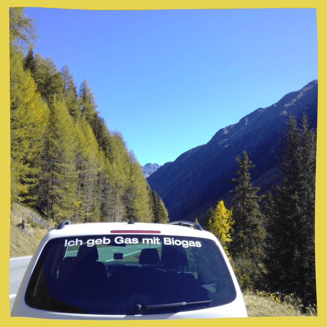 Auto mit Rückscheiben-Aufkleber "ich geb Gas mit Biogas", auf Strasse ins Engadin, Tannen und Berge sichtbar